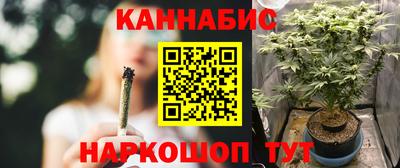 молекула духа Партизанск