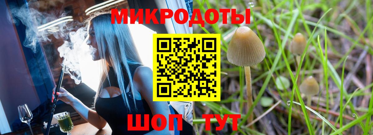 где купить наркоту  Галлюциногенные грибы MAGIC MUSHROOMS  Вход с VPN  Галлюциногенные грибы Psilocybine cubensis  Тольятти 